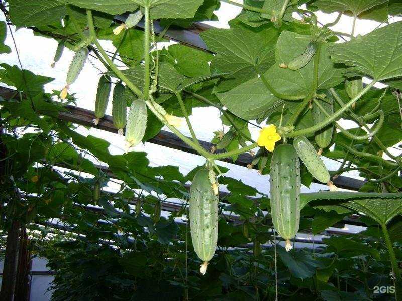 Отзывы на компанию Производственное предприятие в Омске c фото