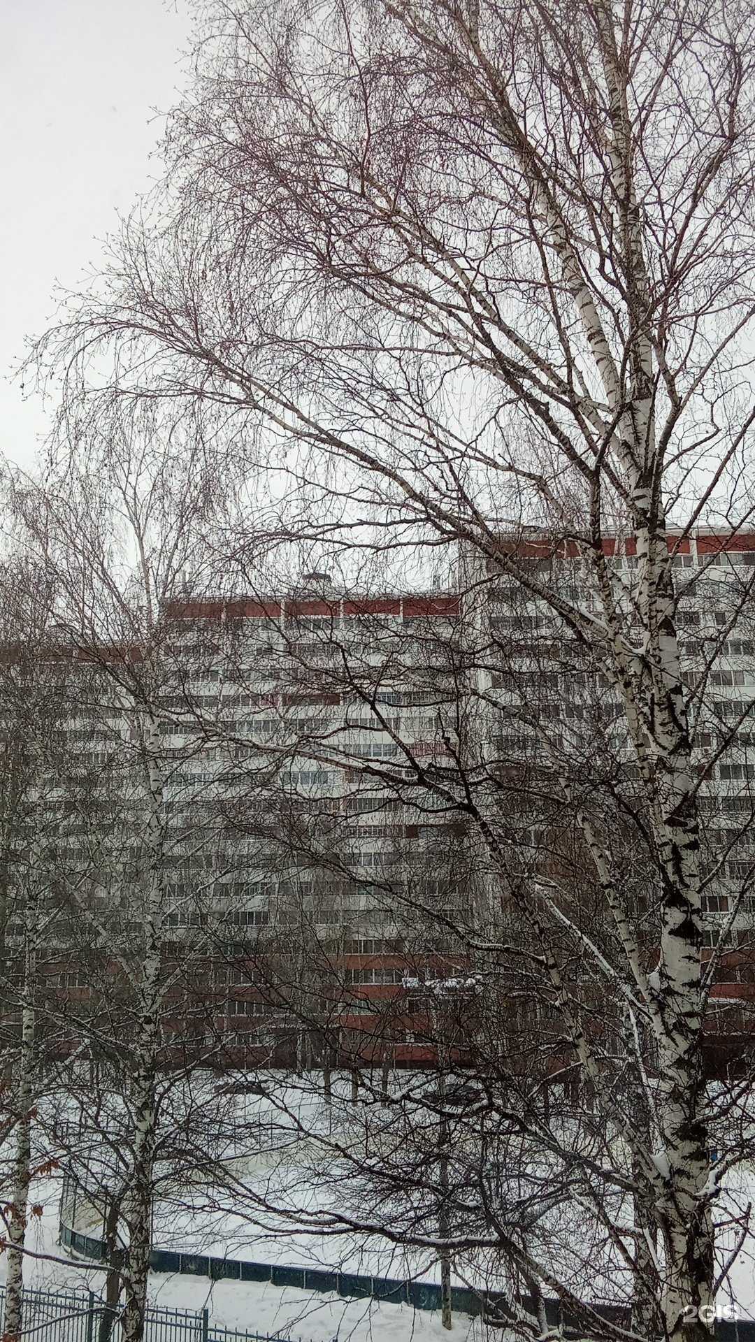 Отзывы на компанию Лидер в г. Набережные Челны c фото