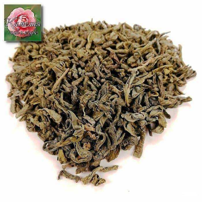 Отзывы на компанию Камелия в Краснодаре c фото