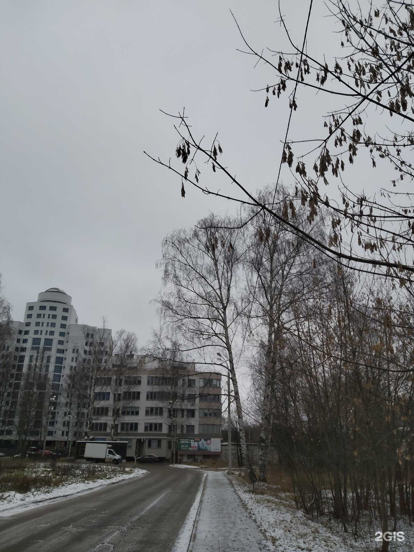 Отзывы на компанию Хвостики в Ярославле c фото - фотография 2 из 2