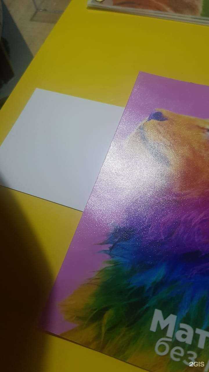 Отзывы на компанию Моё фото в г. Новороссийск c фото