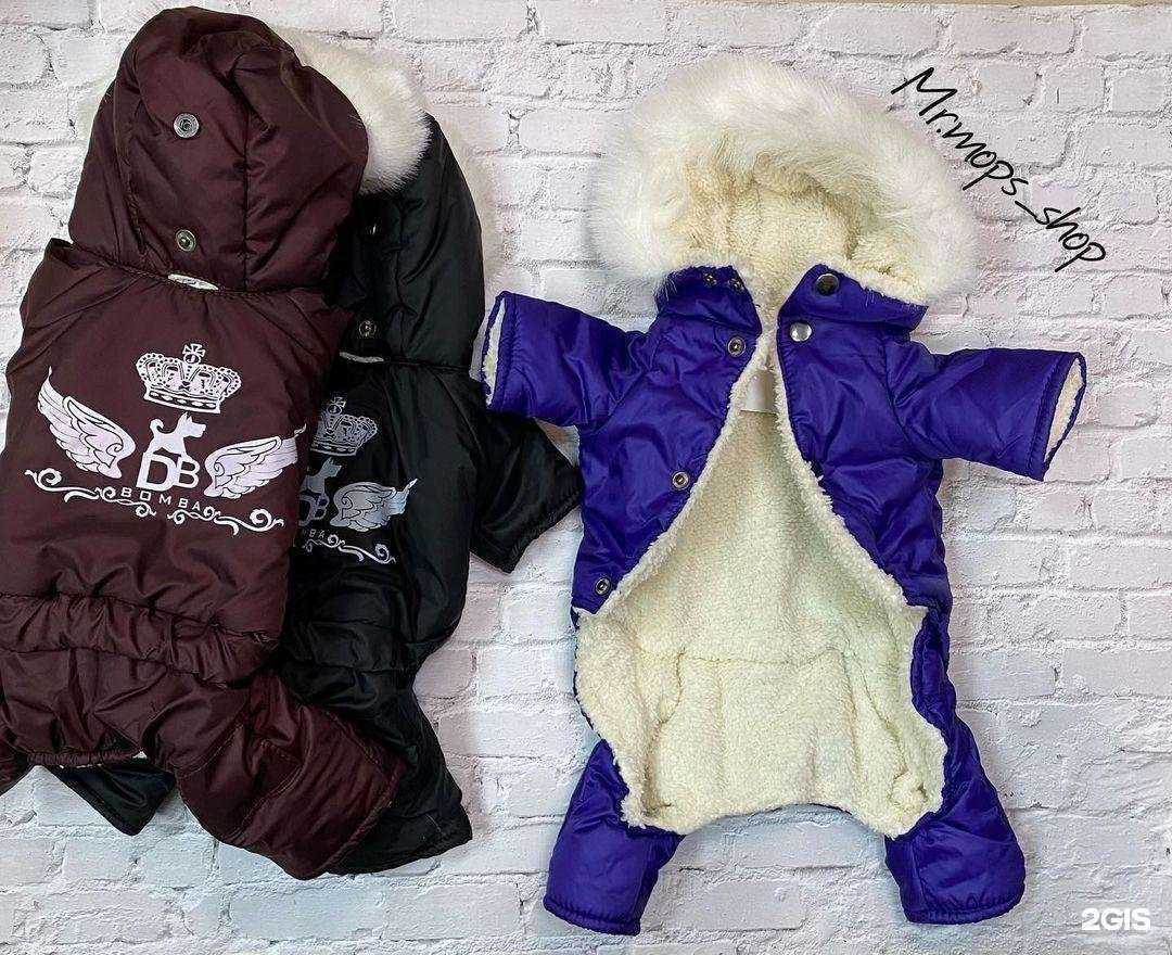 Отзывы на компанию Mr. Mops в Краснодаре c фото