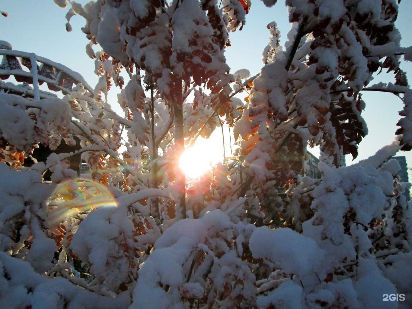 Отзывы на компанию Спасалка в Омске c фото - фотография 2 из 2