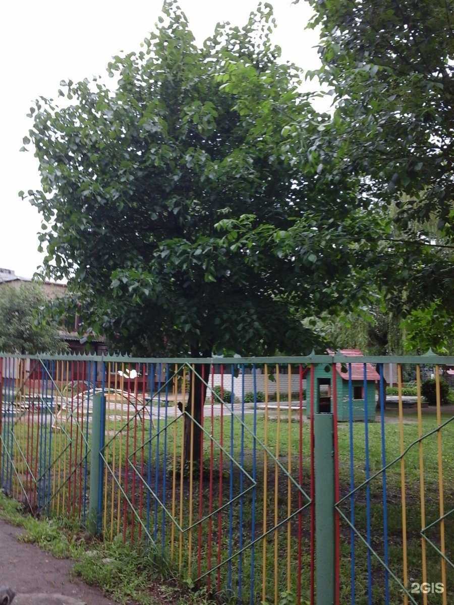 Отзывы на компанию Звёздный в г. Тамбов c фото