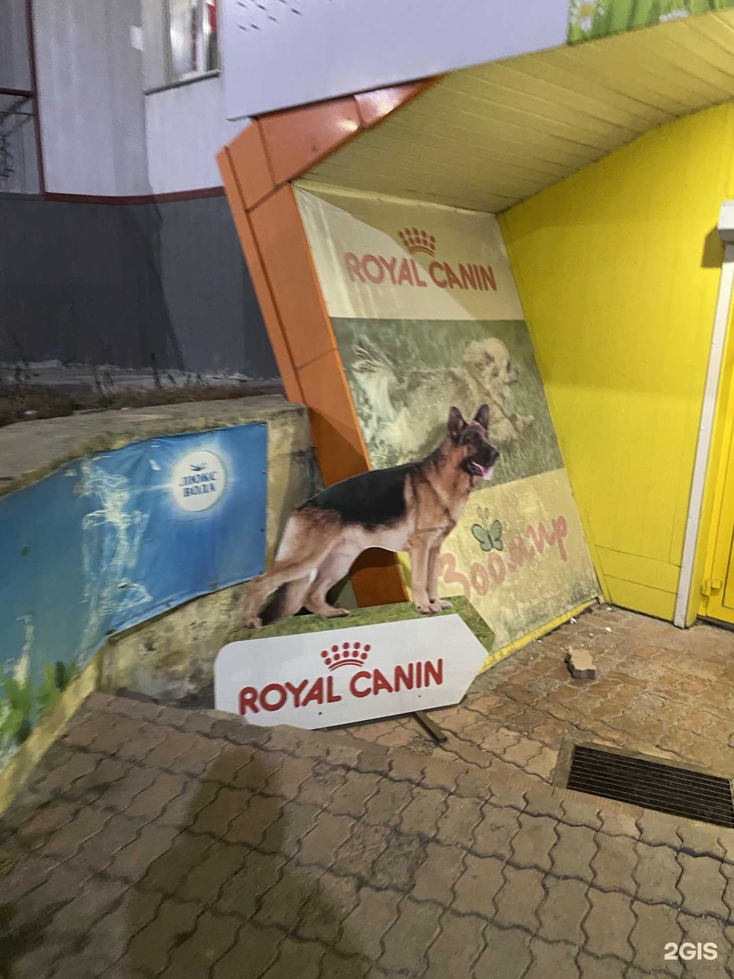 Отзывы на компанию Зоомир в г. Сатка c фото