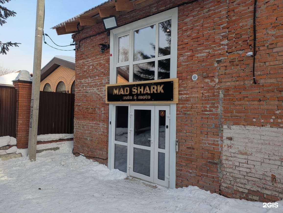 Отзывы на компанию Мэд Шарк в Томске c фото