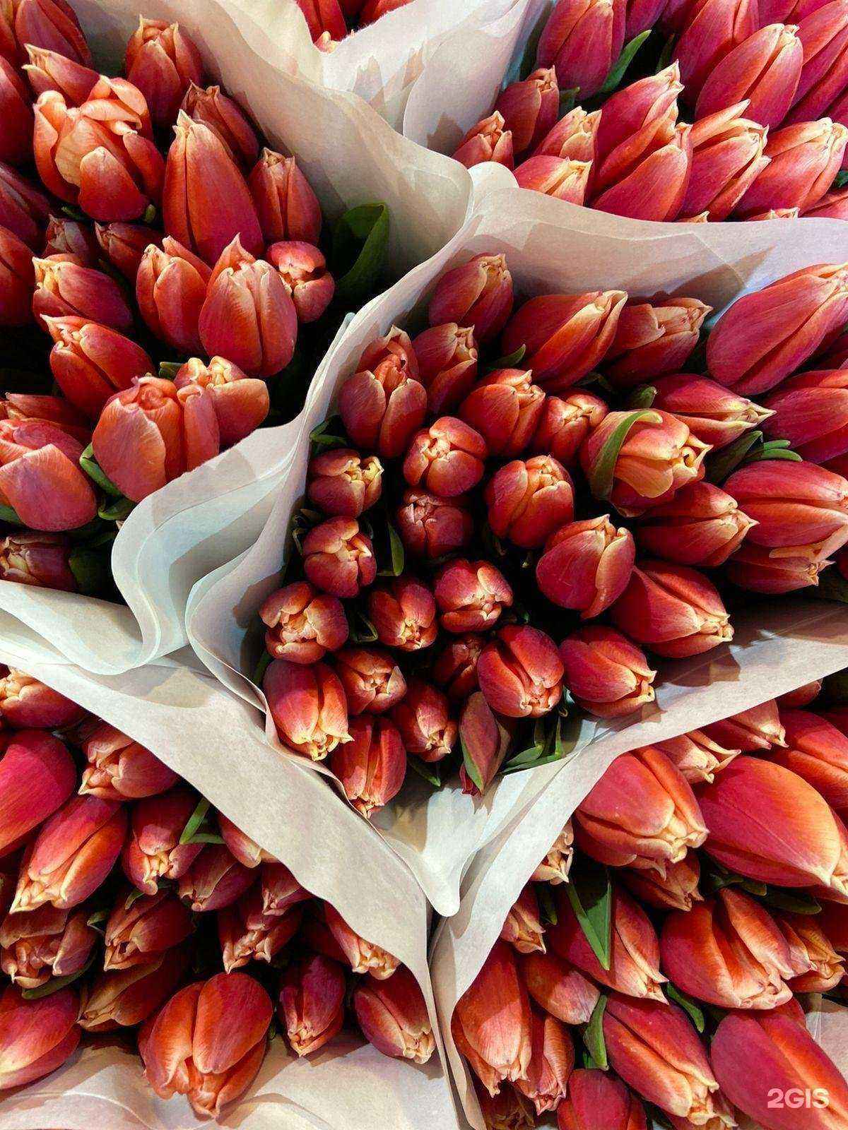 Отзывы на компанию Флорис в г. Бийск c фото