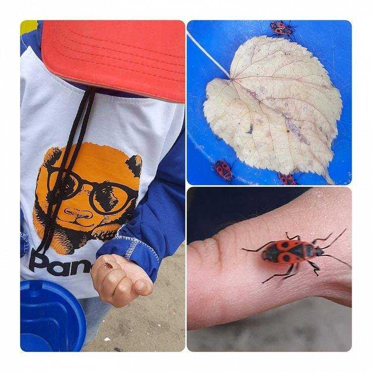 Отзывы на компанию Изюминка в Ульяновске c фото