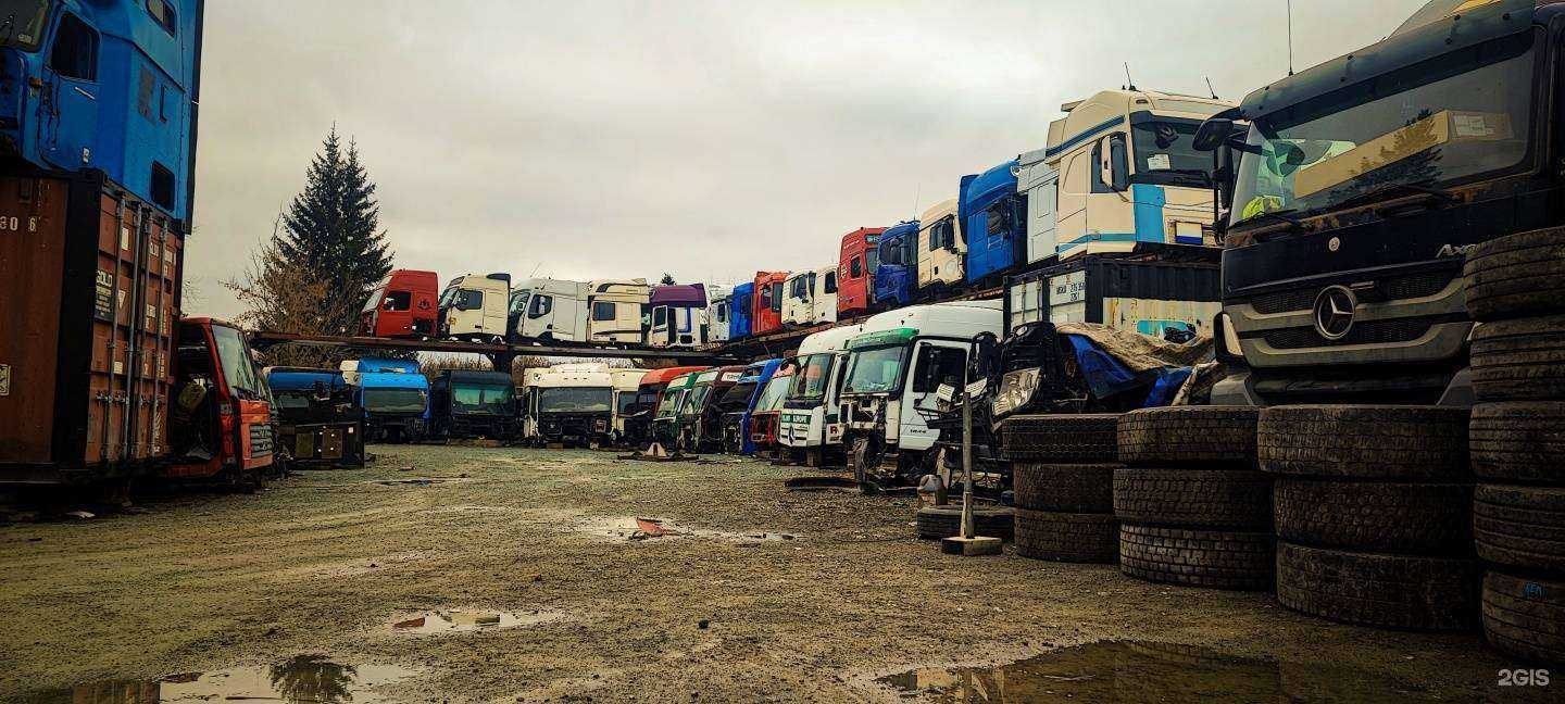 Отзывы на компанию Золотой Лев в г. Новосибирск c фото