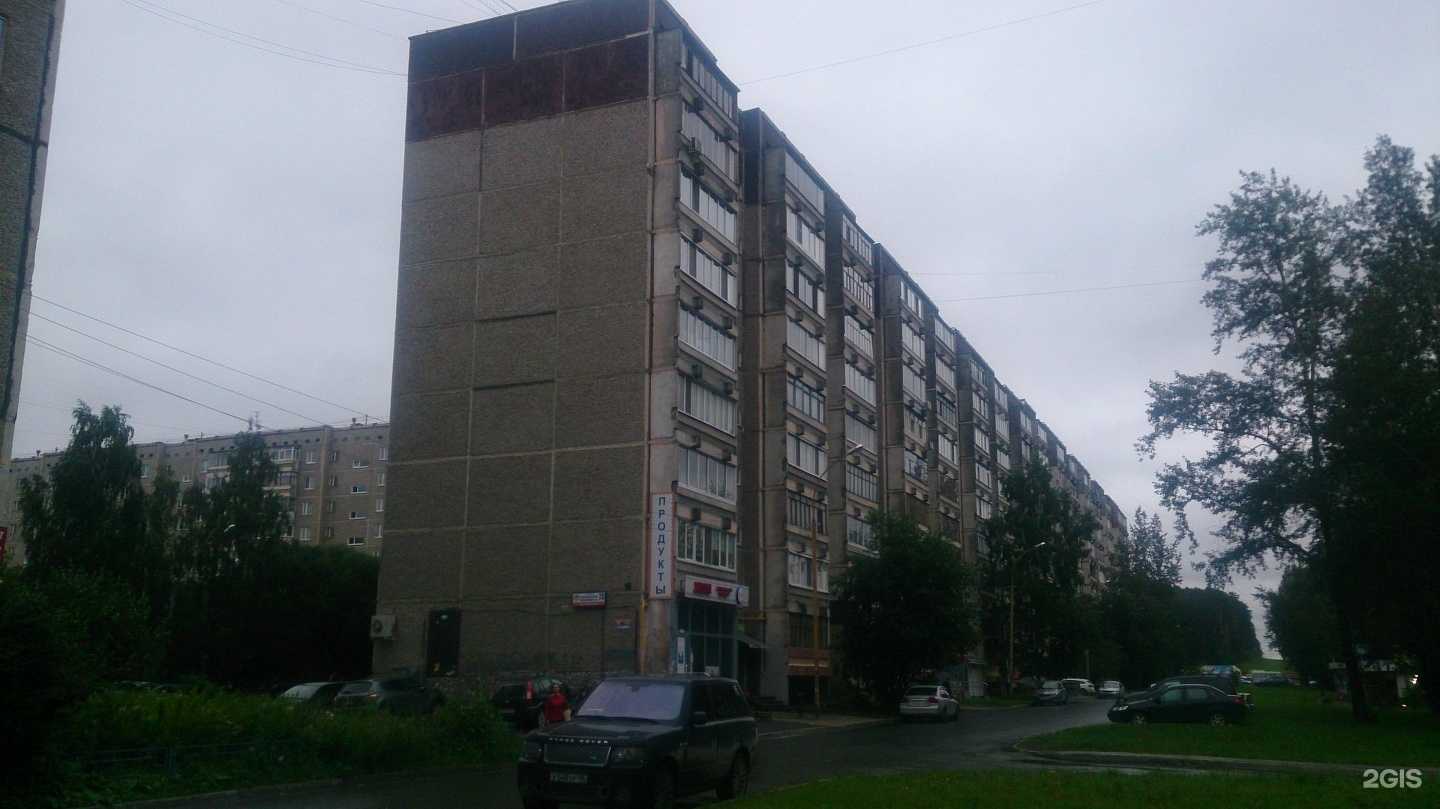 Отзывы на компанию TipTop-groom в Екатеринбурге c фото - фотография 2 из 2