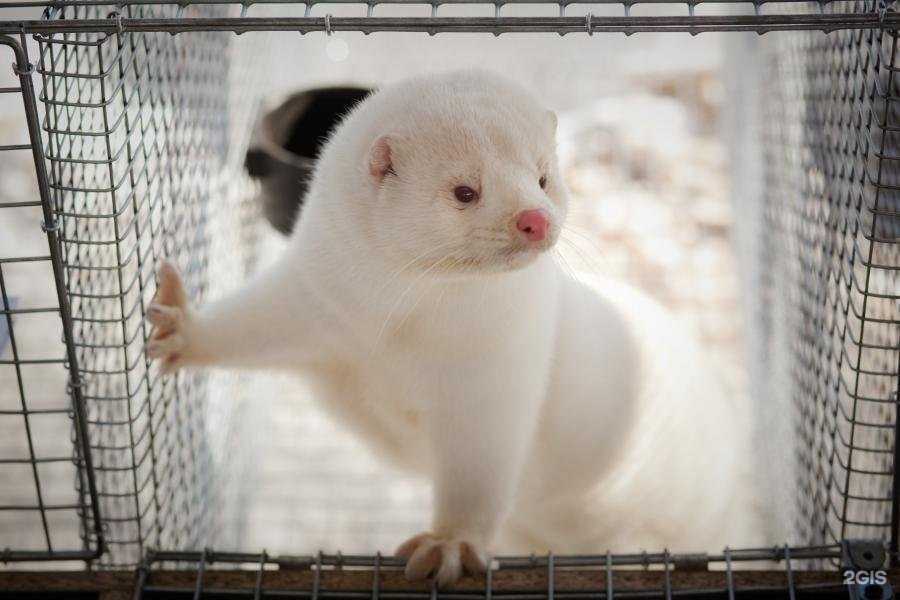 Отзывы на компанию Савватьево в Твери c фото