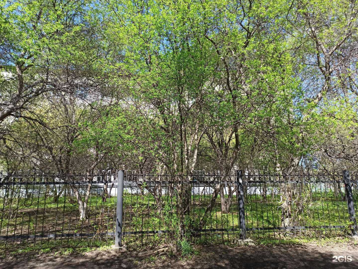 Отзывы на компанию Тренажерный зал в Комсомольске-на-Амуре c фото