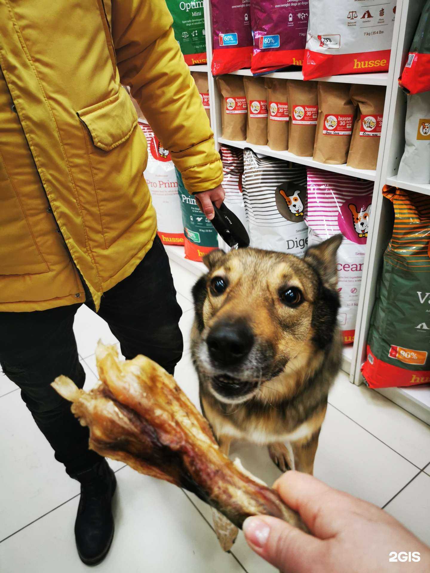 Отзывы на компанию Искренний зоомагазин Хуссе в Архангельске c фото