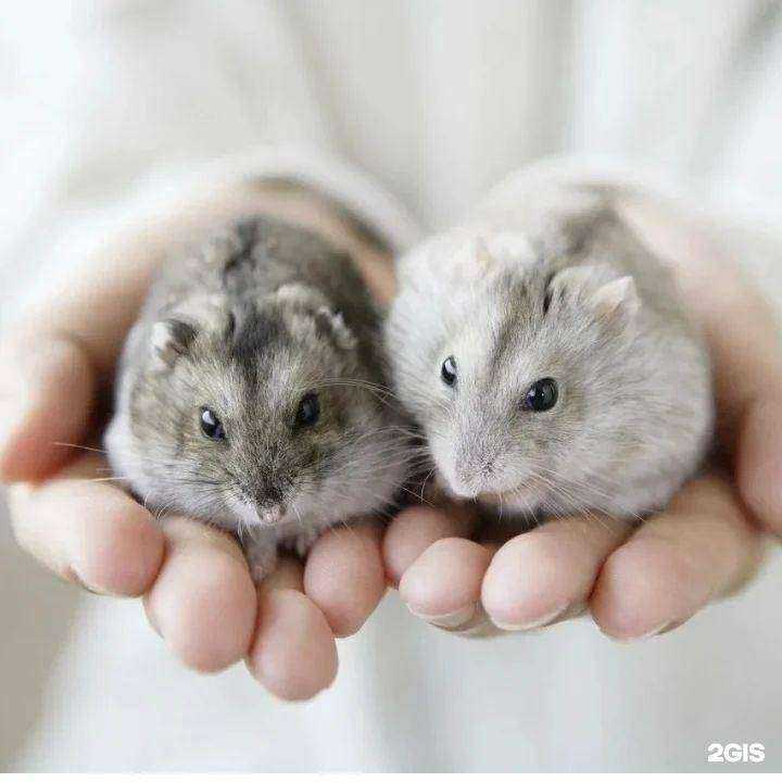 Отзывы на компанию Аквамир в Шелехове c фото