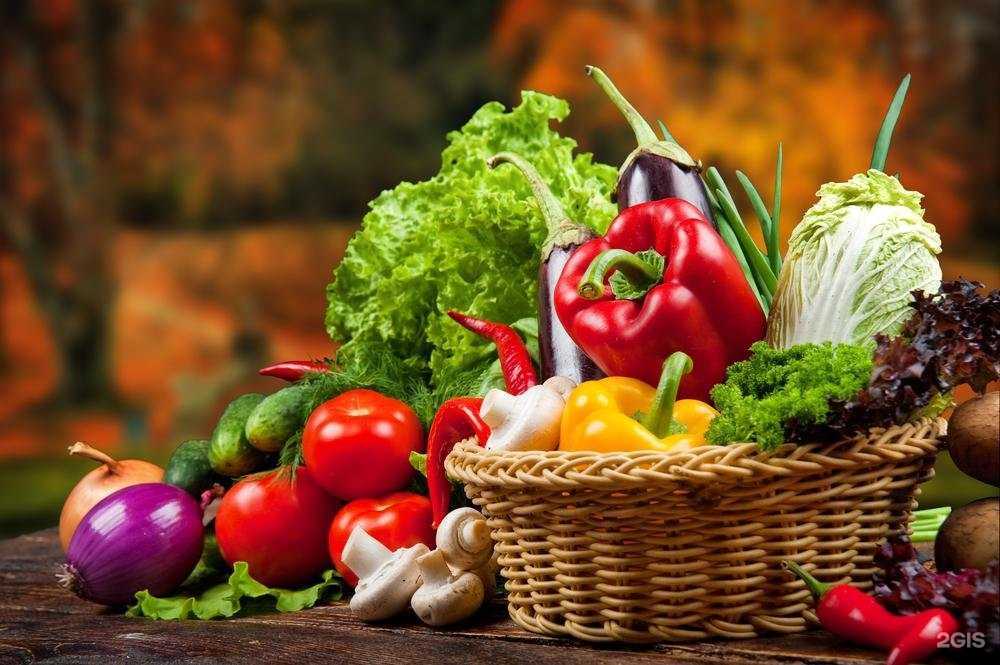 Отзывы на компанию Чиполлино в Оренбурге c фото