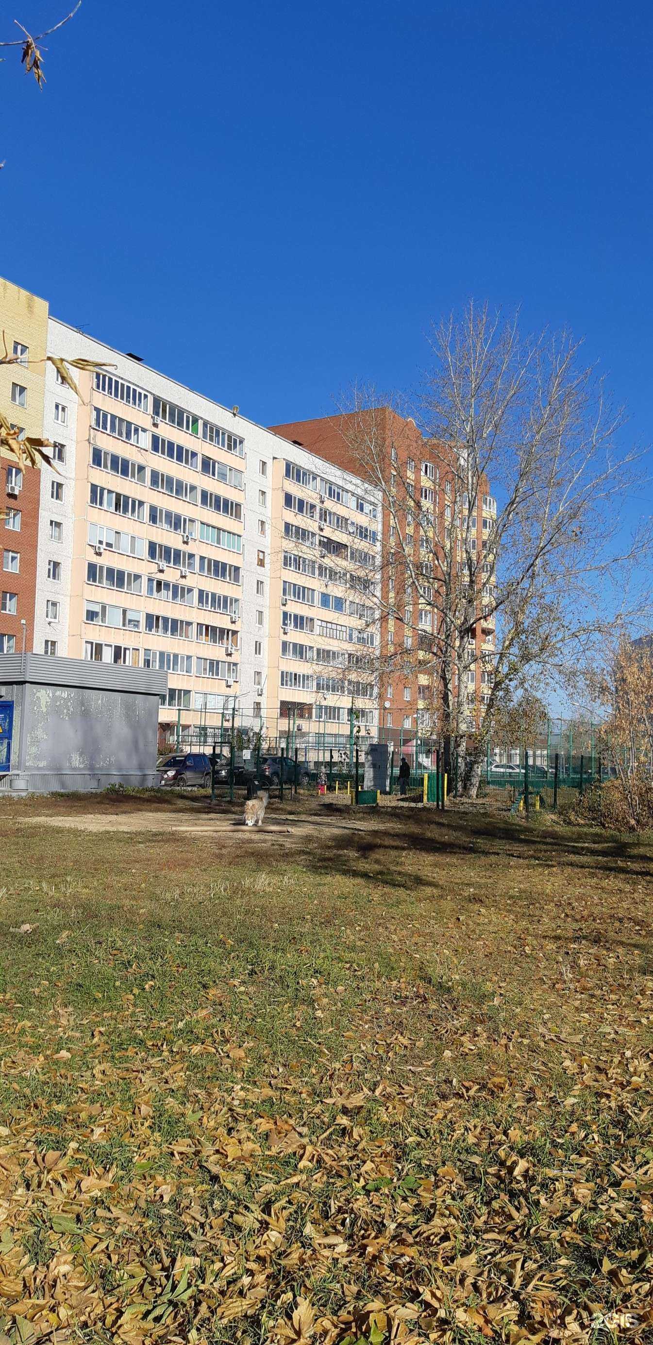 Отзывы на компанию Аккорд в Тюмени c фото - фотография 2 из 2