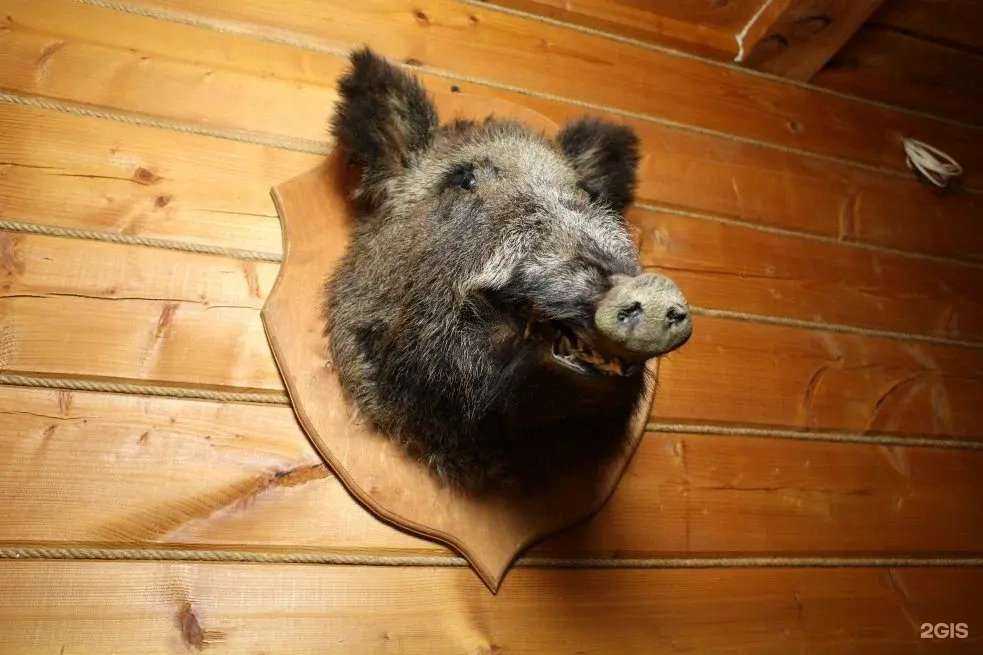 Отзывы на компанию Орловская в г. Набережные Челны c фото