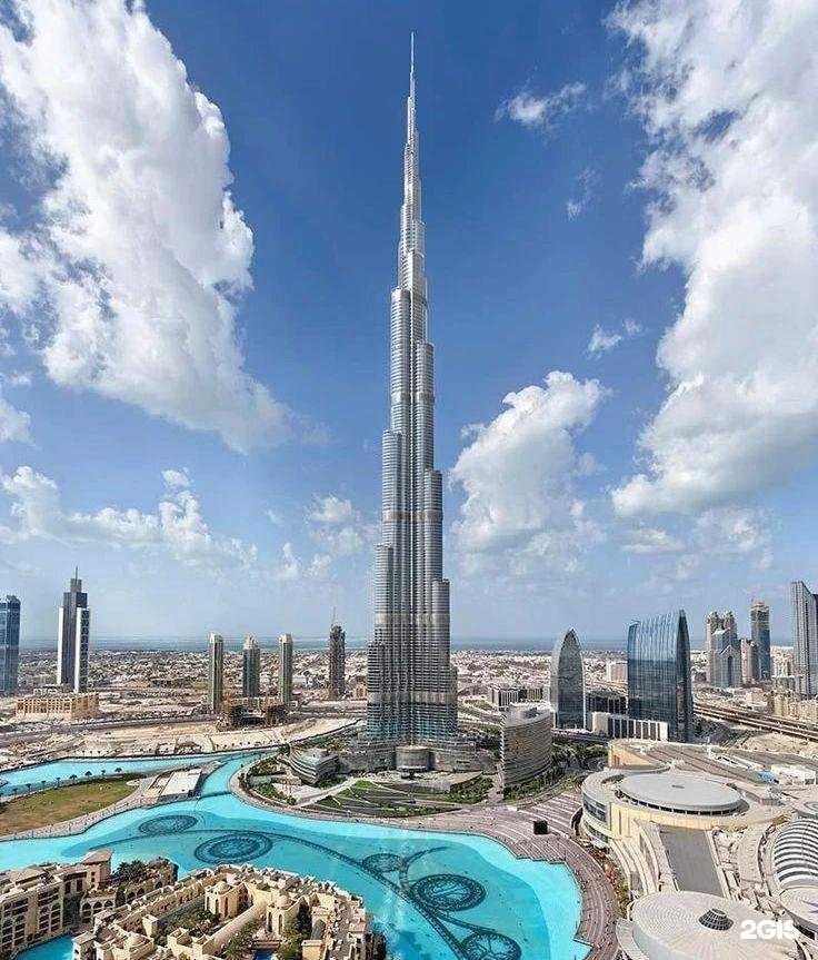 Отзывы на компанию Дельфин в Пензе c фото