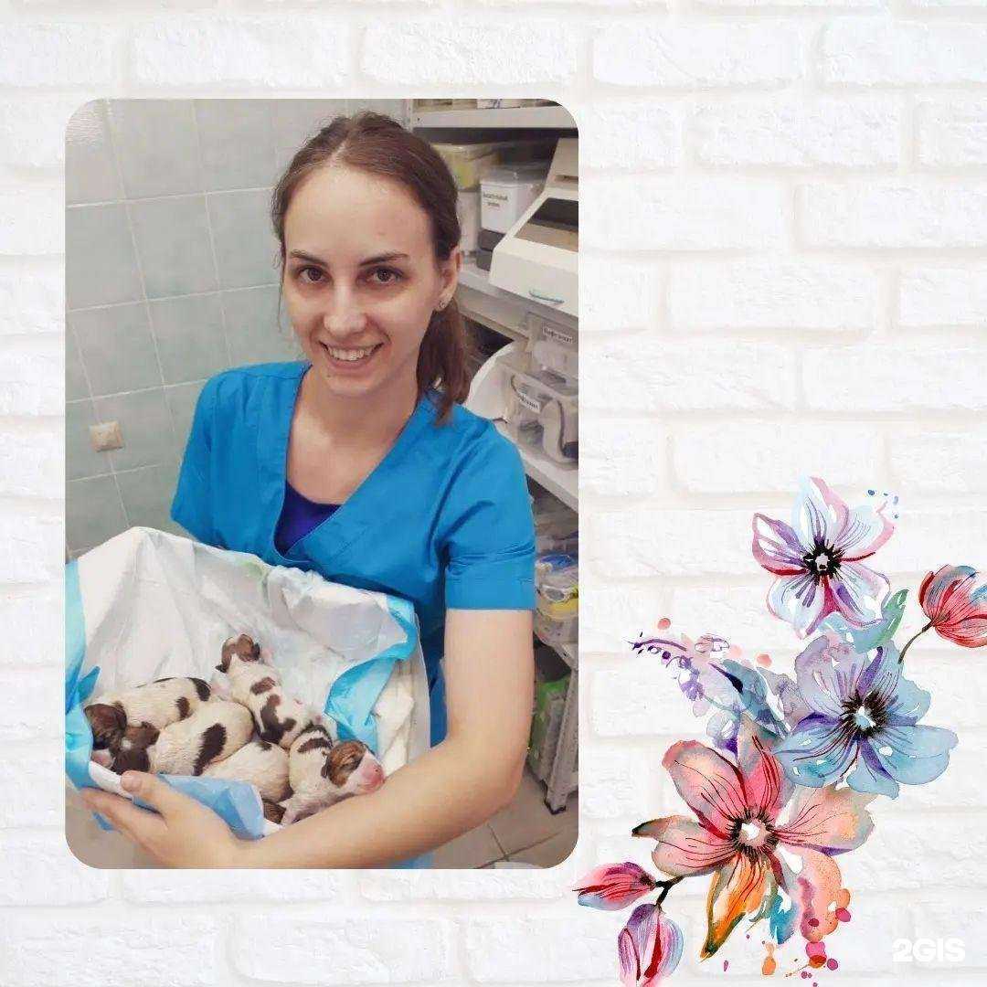 Отзывы на компанию Петан в Омске c фото