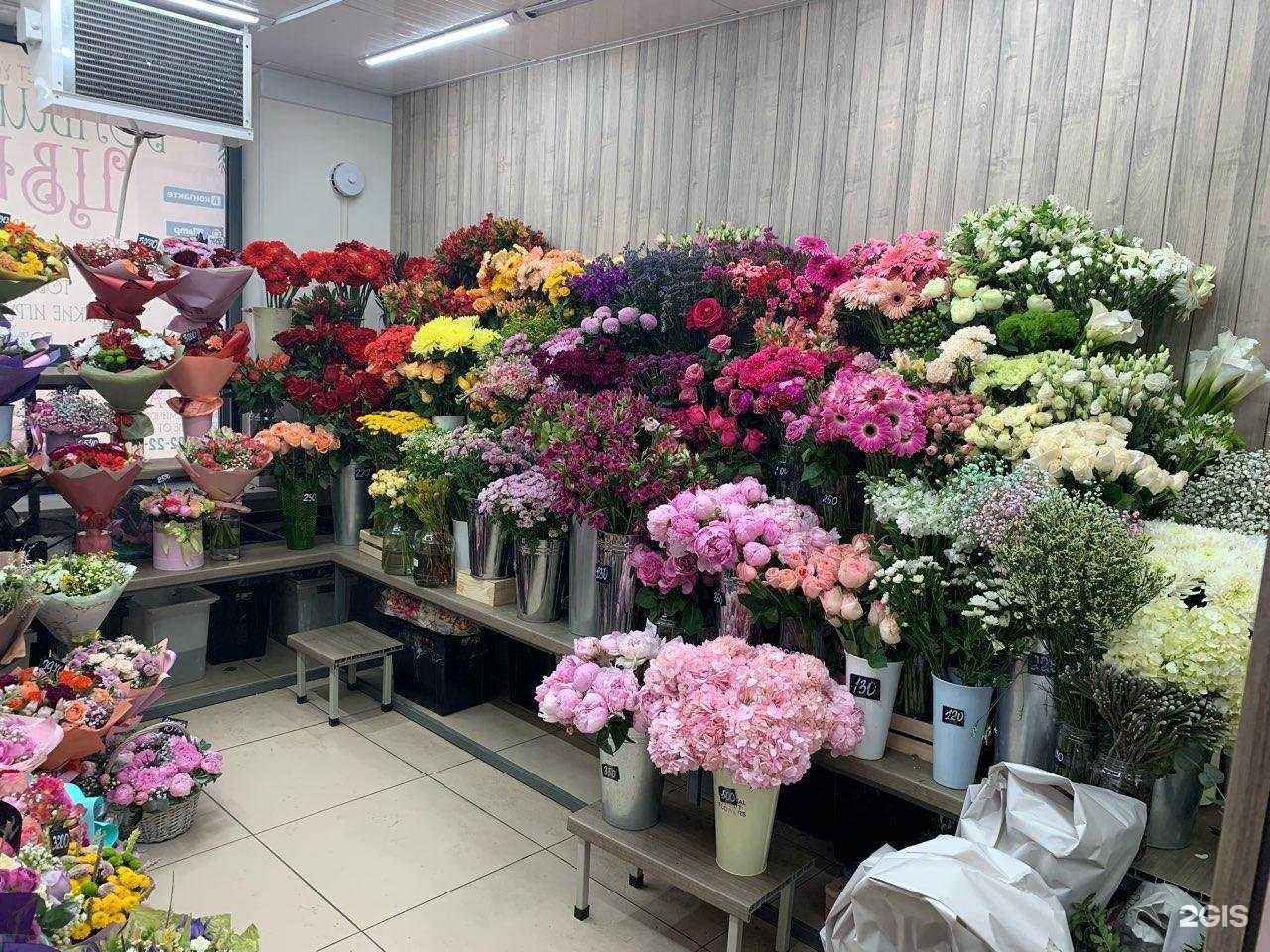 Отзывы на компанию Малина в Екатеринбурге c фото