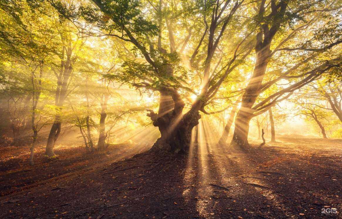 Отзывы на компанию Мраморная река в Краснодаре c фото