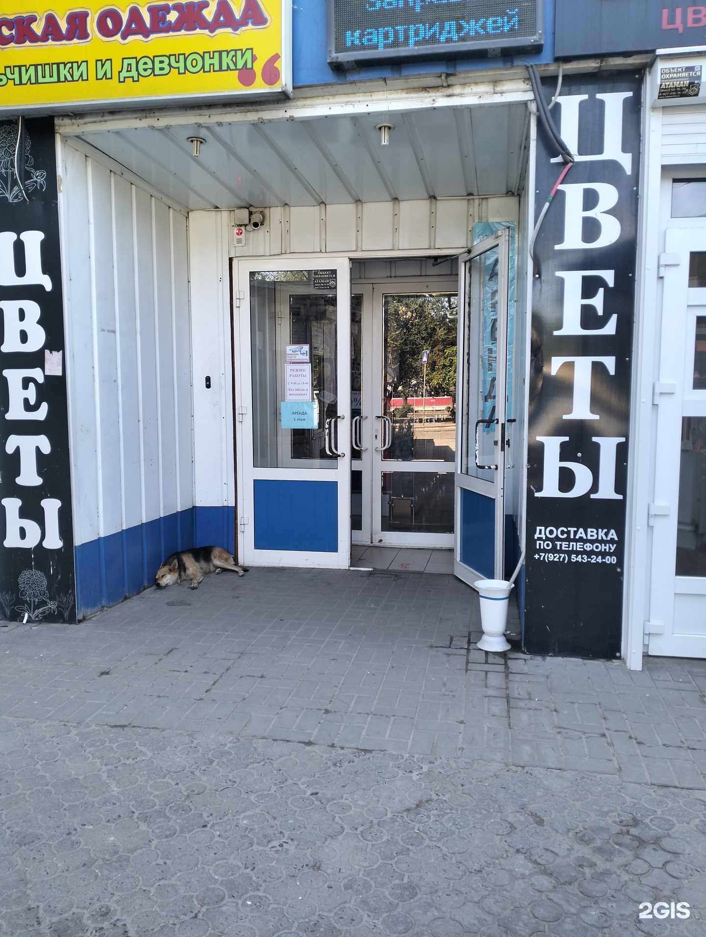 Отзывы на компанию Фотоателье в Волгограде c фото