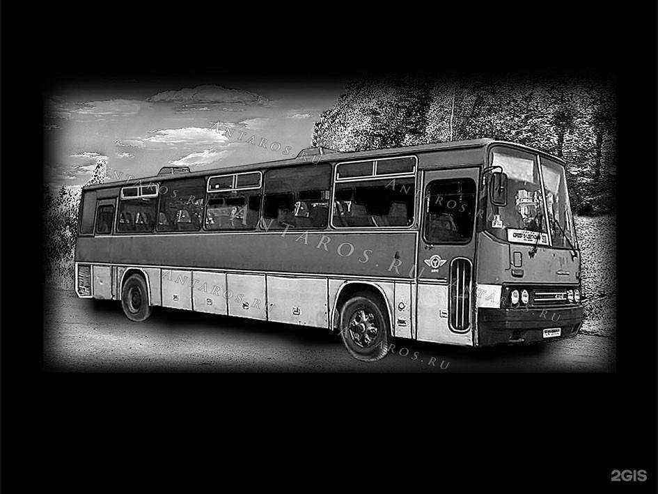 Отзывы на компанию Антарос в Кемерове c фото