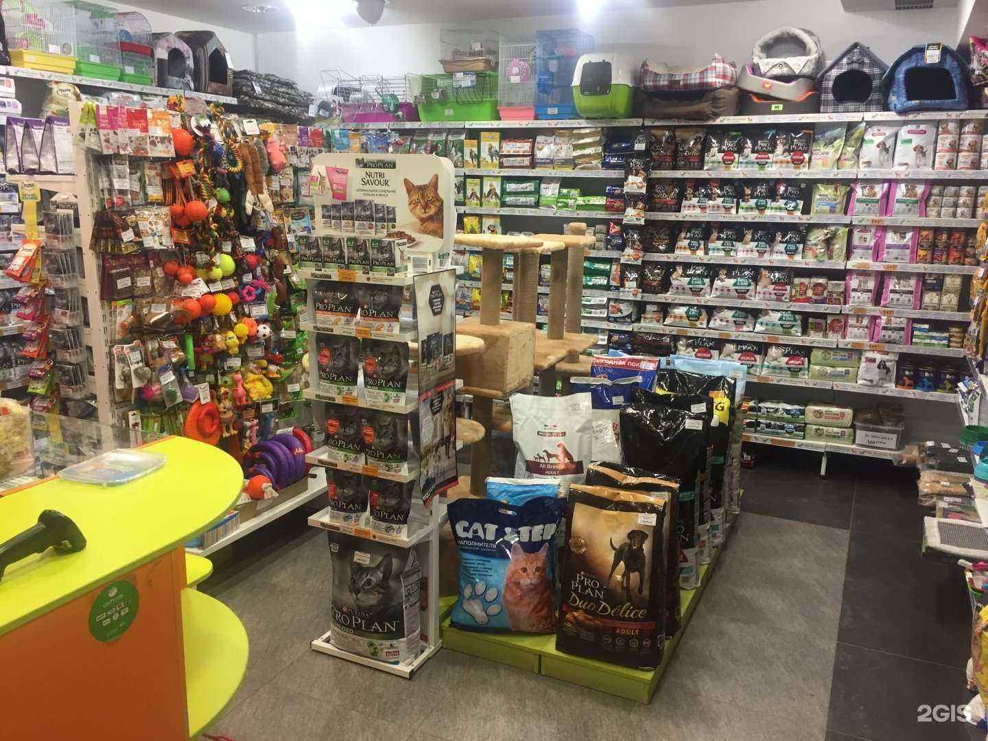 Отзывы на компанию Мир хвостатых в Перми c фото