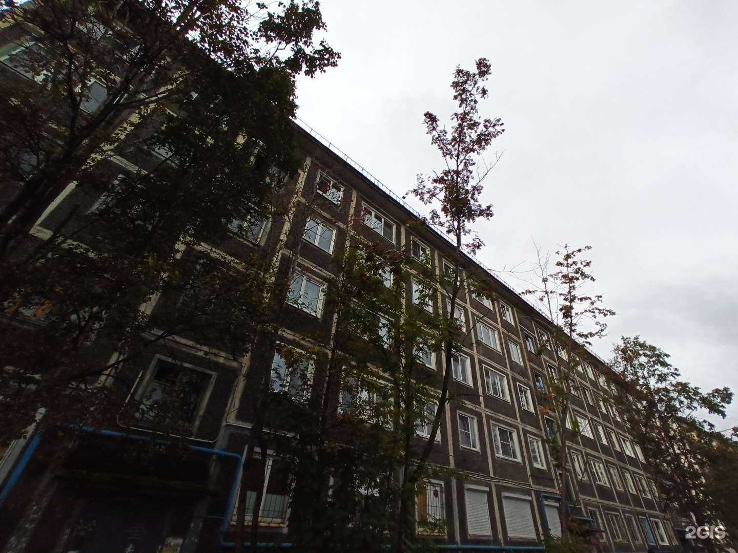 Отзывы на компанию Астра-дент в Мурманске c фото - фотография 2 из 2