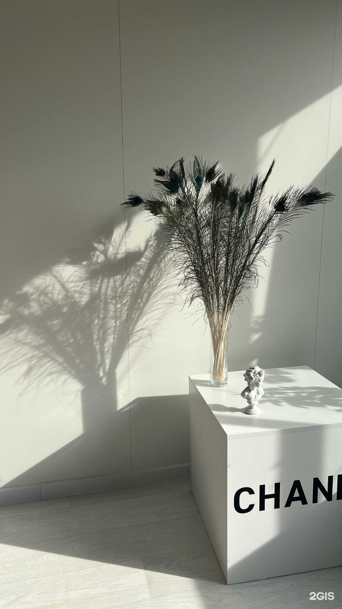 Отзывы на компанию Контент-студия  в г. Барнаул c фото