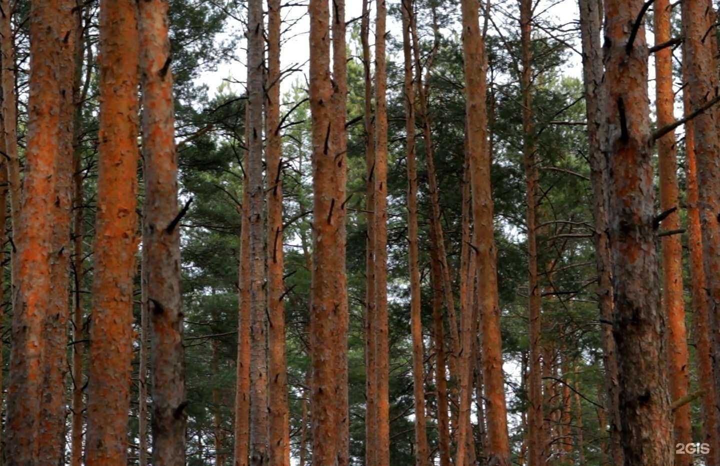 Отзывы на компанию Областной комплексный реабилитационный центр в Владимире c фото