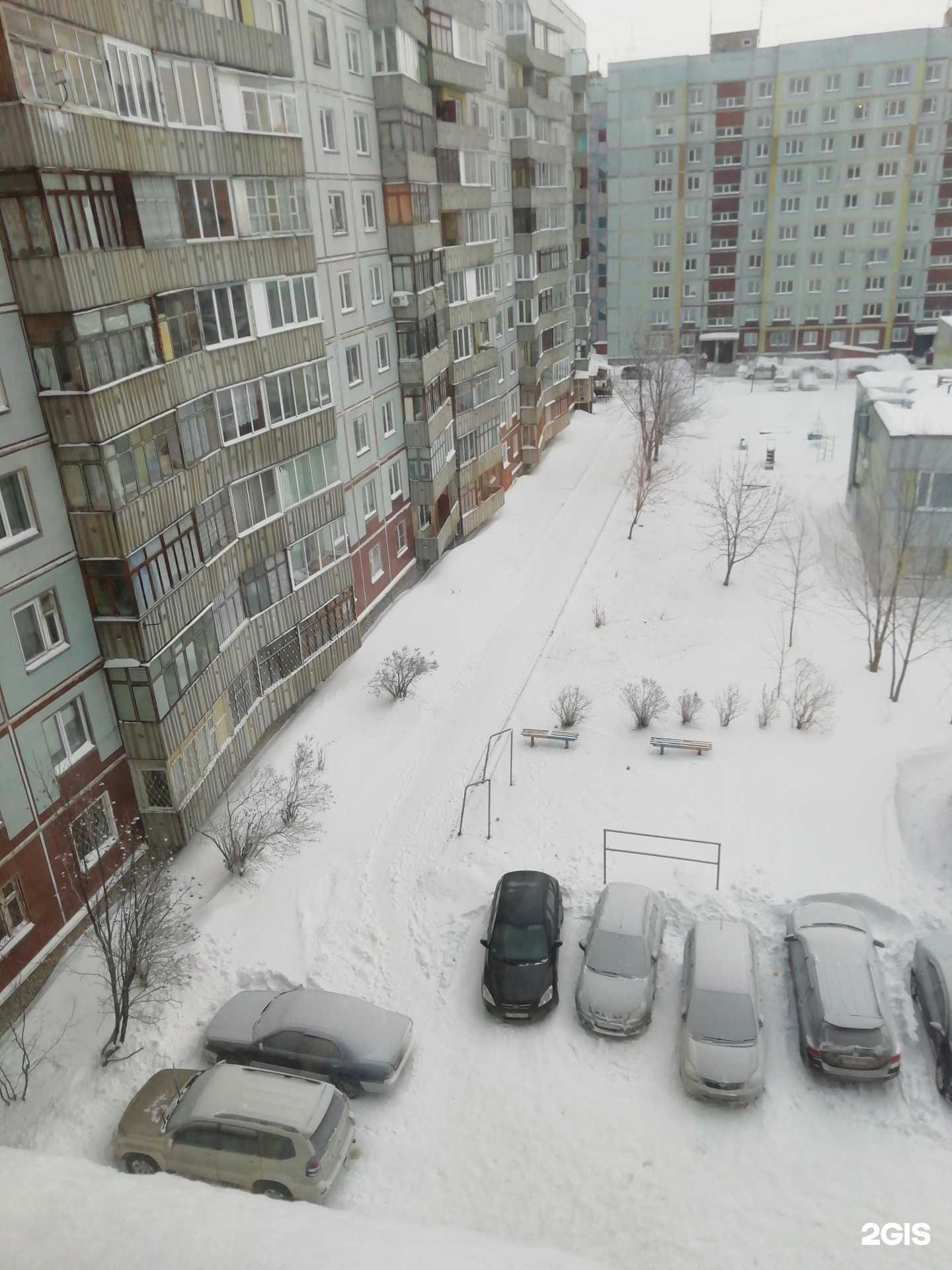 Отзывы на компанию Сакура в Новосибирске c фото - фотография 2 из 2