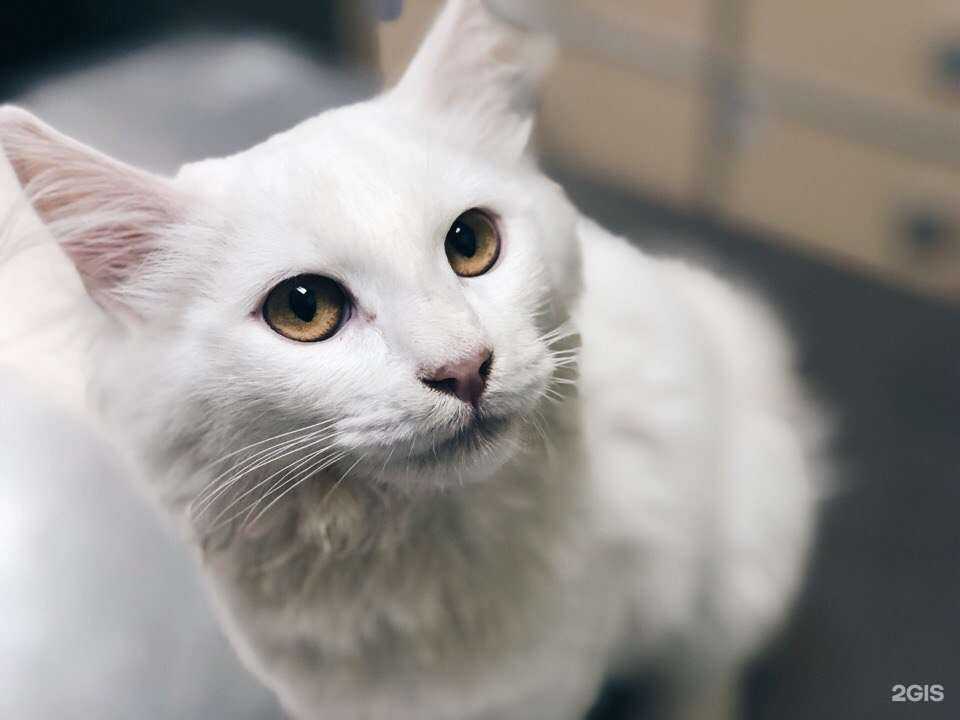 Отзывы на компанию Альвис в г. Уфа c фото