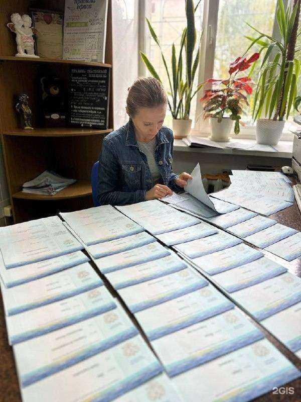 Отзывы на компанию Вирджиния в г. Йошкар-Ола c фото