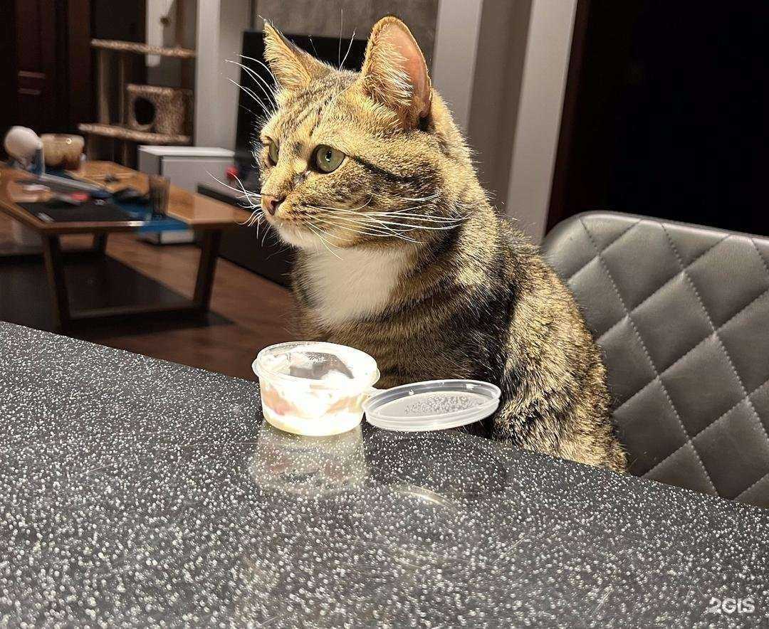 Отзывы на компанию Авто-подбор.рф в Краснодаре c фото