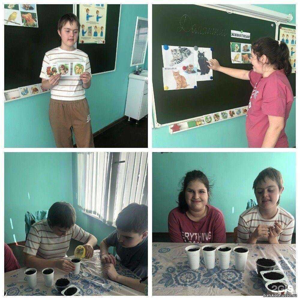 Отзывы на компанию Специальная общеобразовательная школа-интернат VIII вида г. Балаково в г. Балаково c фото