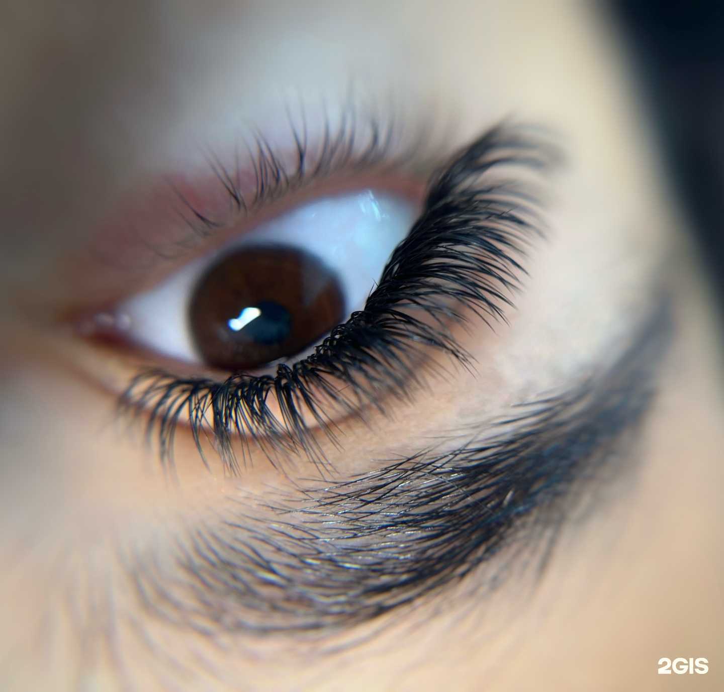 Отзывы на компанию Студия наращивания и ламинирования ресниц  в Сочи c фото