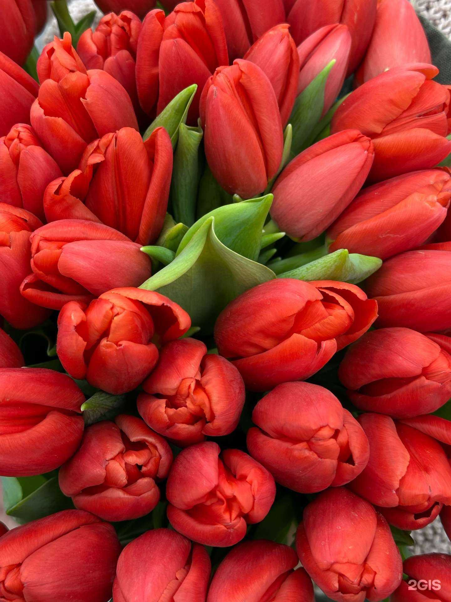 Отзывы на компанию Цветочный №1 в г. Тверь c фото