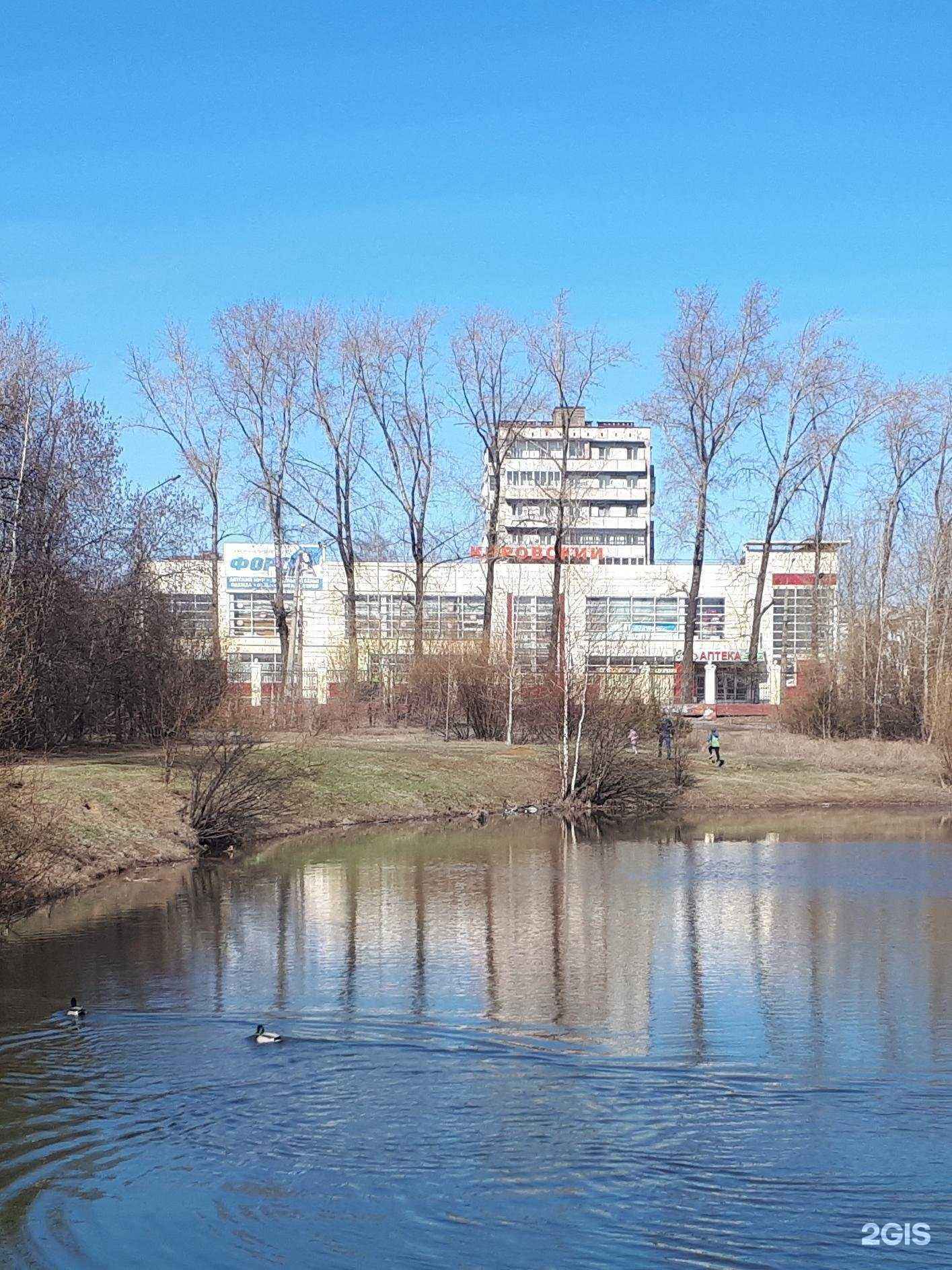 Отзывы на компанию Ricco в Нижнем Тагиле c фото