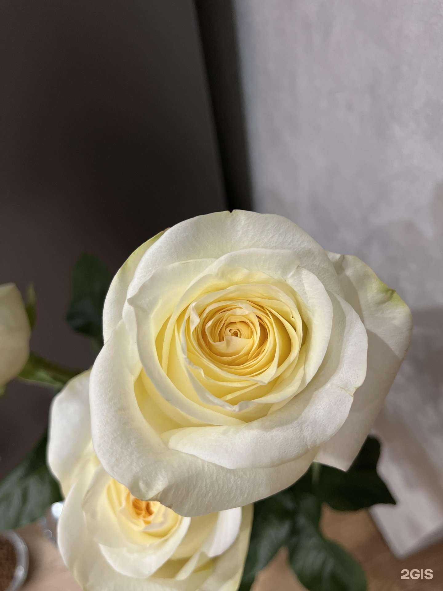 Отзывы на компанию Радужные цветы в Новосибирске c фото