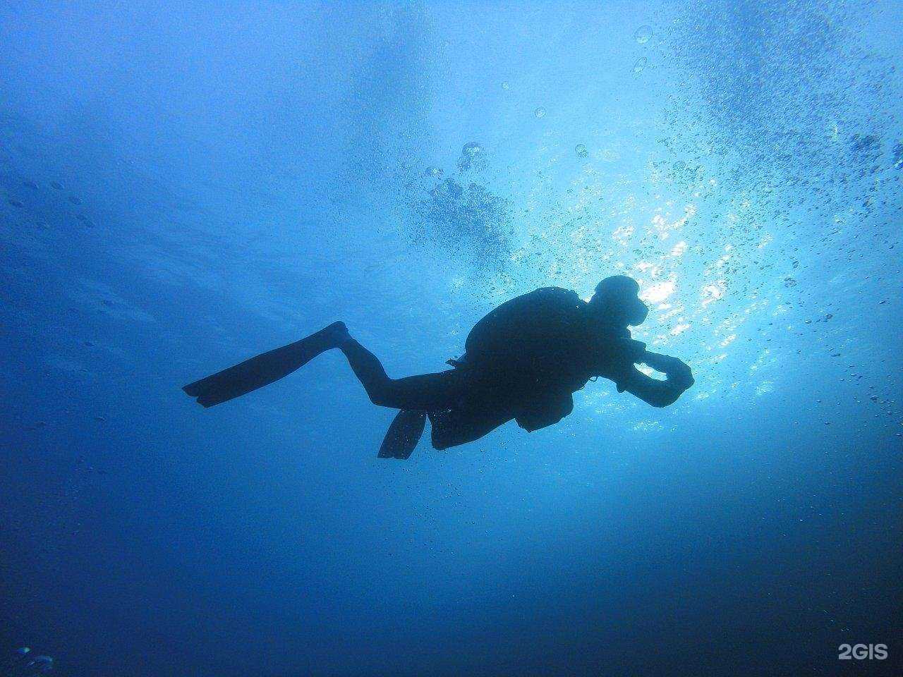 Отзывы на компанию Онего в г. Петрозаводск c фото