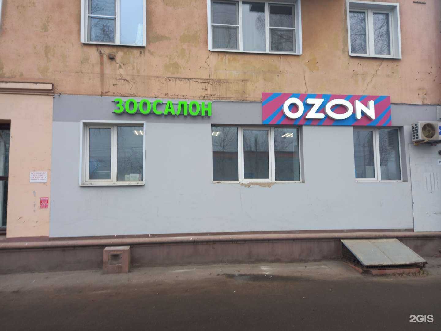 Отзывы на компанию Студия груминга Марины Кудрявцевой в Иванове c фото