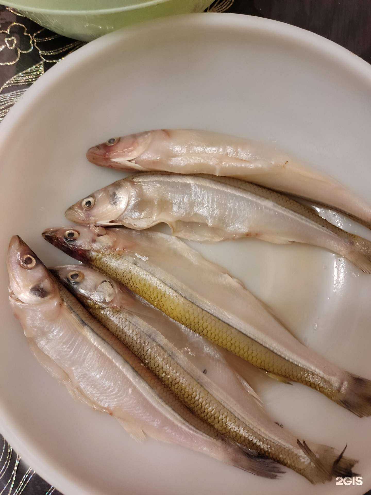 Отзывы на компанию Магазин рыбы и морепродуктов в г. Краснодар c фото