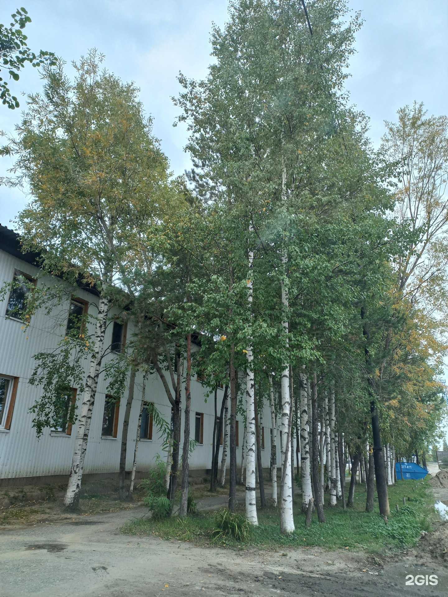 Отзывы на компанию Добрый дом в Нижневартовске c фото - фотография 2 из 2