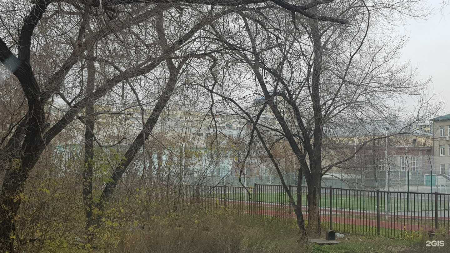 Отзывы на компанию Коррекционная школа №14 в Новосибирске c фото