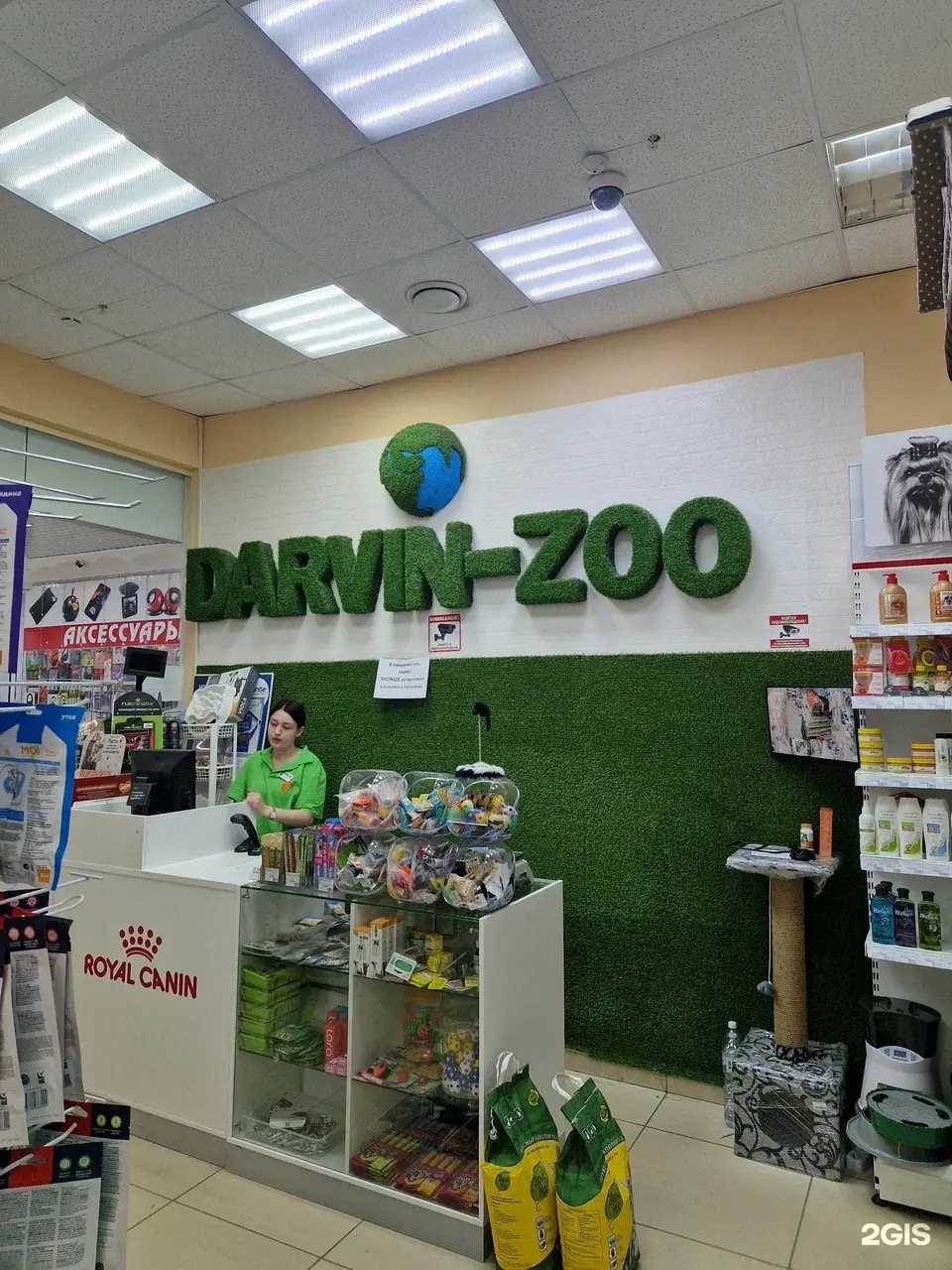 Отзывы на компанию Дарвин-Зоо в г. Пенза c фото