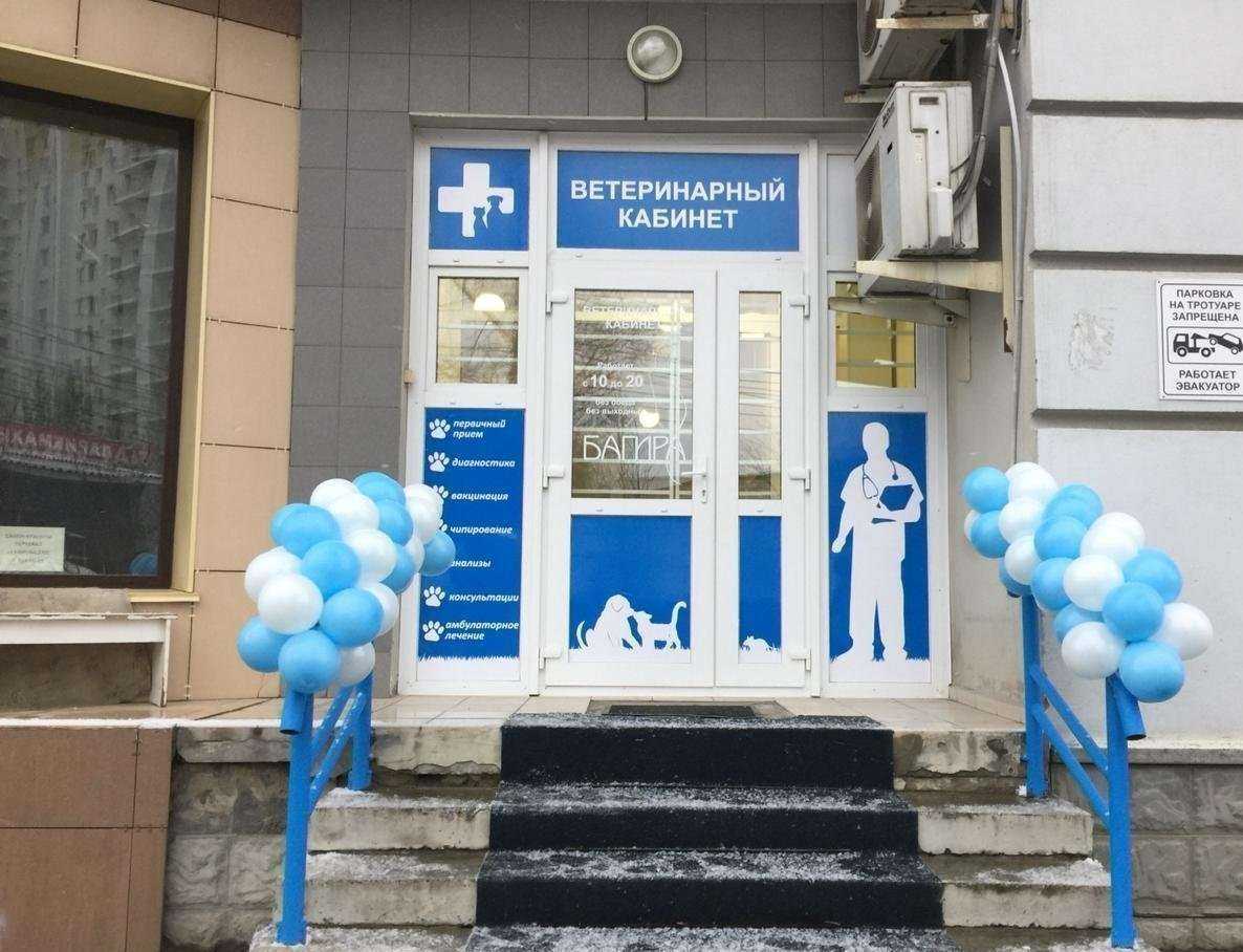 Отзывы на компанию Багира в Новосибирске c фото