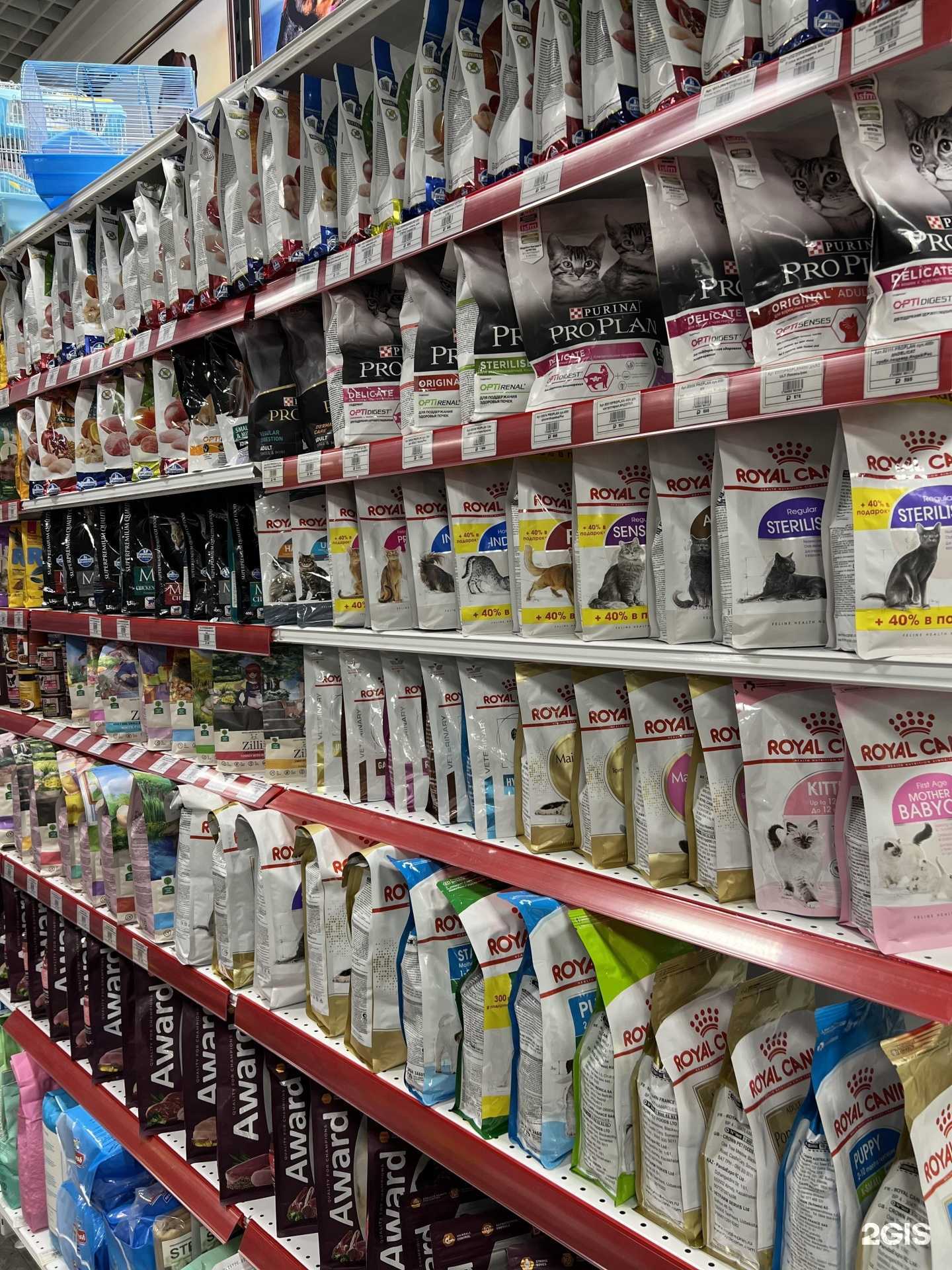 Отзывы на компанию ЗвероШоп в г. Красноярск c фото