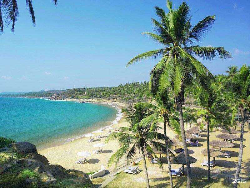 Отзывы на компанию Маэстро-Тур в Челябинске c фото