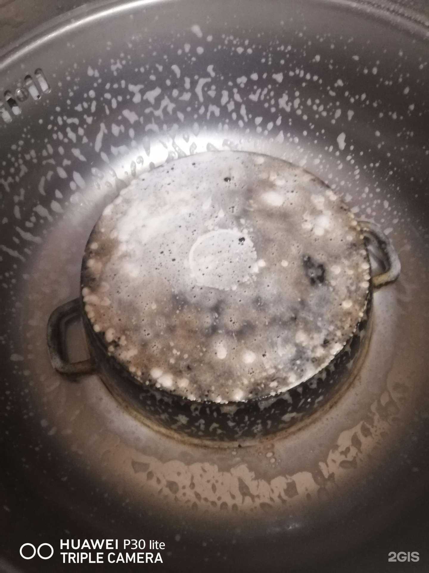 Отзывы на компанию Grass в Кемерове c фото